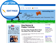 Business Website Builder